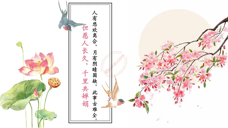 水调歌头·明月几时有教学课件PPT