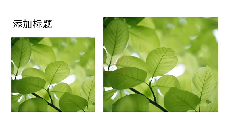 绿色环保教育知识讲座通用PPT模板免费下载免费PPT