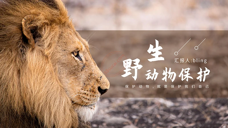 野生动物保护演示PPT模板免费下载免费PPT