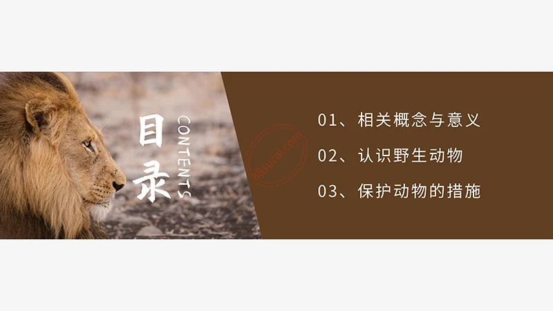 野生动物保护演示PPT模板免费下载免费PPT