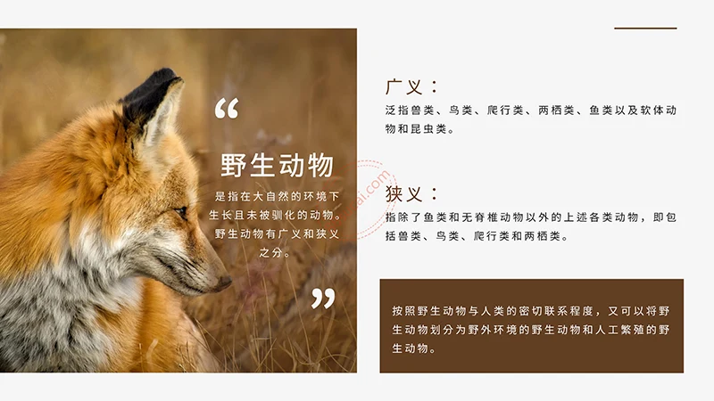 野生动物保护演示PPT模板免费下载免费PPT