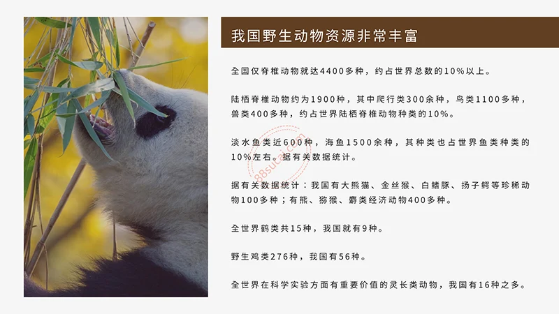 野生动物保护演示PPT模板免费下载免费PPT