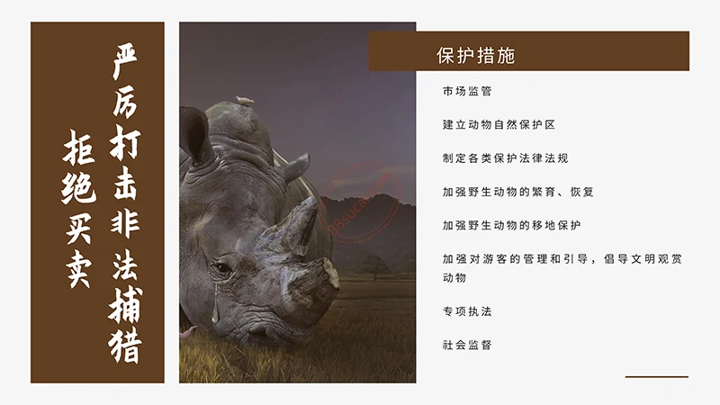 野生动物保护演示PPT模板免费下载免费PPT