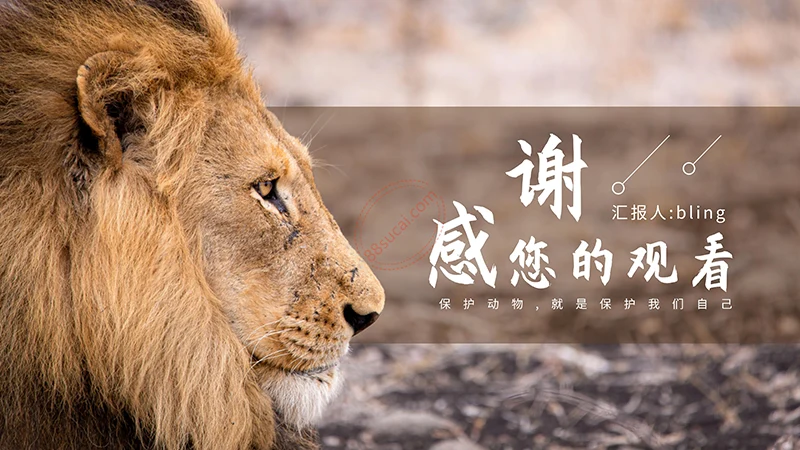 野生动物保护演示PPT模板免费下载免费PPT
