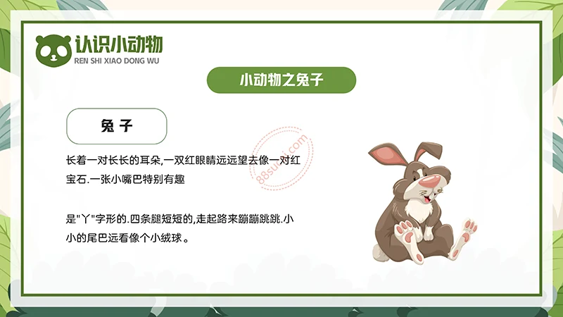 动物课程主题讲座《认识小动物》儿童动物介绍PPT免费下载免费PPT