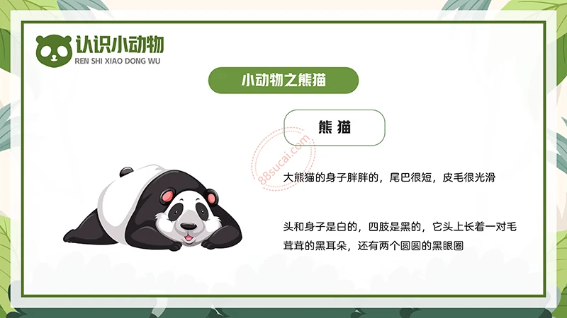动物课程主题讲座《认识小动物》儿童动物介绍PPT免费下载免费PPT