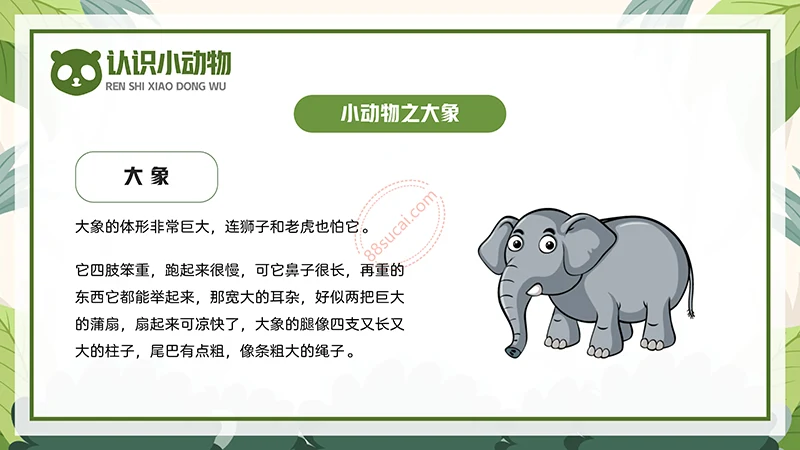 动物课程主题讲座《认识小动物》儿童动物介绍PPT免费下载免费PPT