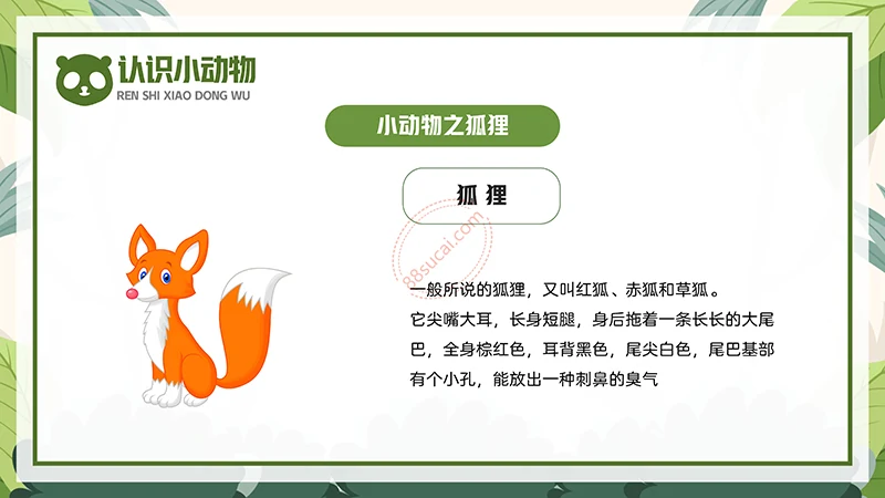 动物课程主题讲座《认识小动物》儿童动物介绍PPT免费下载免费PPT