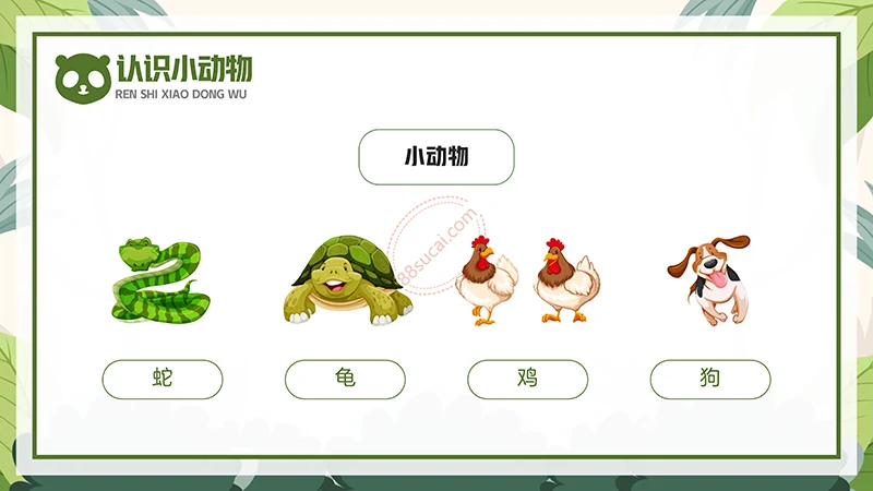 动物课程主题讲座《认识小动物》儿童动物介绍PPT免费下载免费PPT