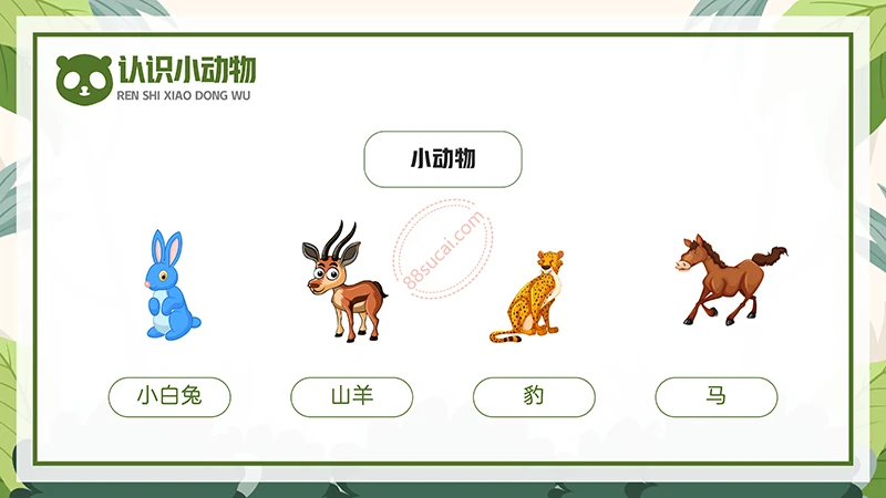 动物课程主题讲座《认识小动物》儿童动物介绍PPT免费下载免费PPT