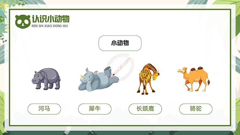 动物课程主题讲座《认识小动物》儿童动物介绍PPT免费下载免费PPT