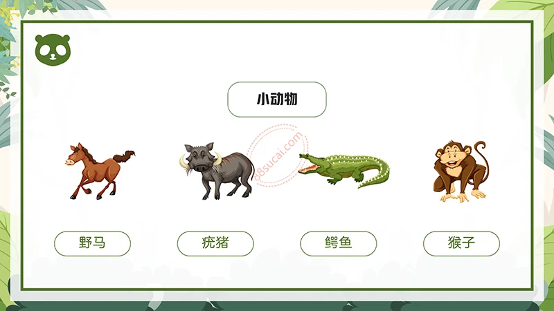 动物课程主题讲座《认识小动物》儿童动物介绍PPT免费下载免费PPT