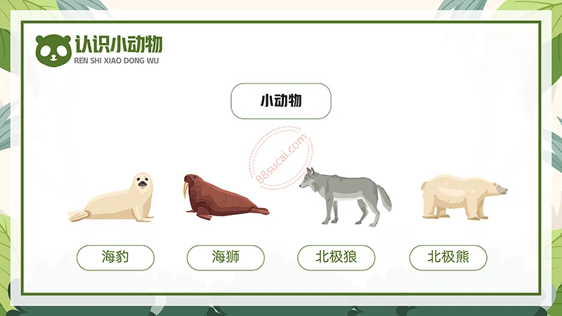 动物课程主题讲座《认识小动物》儿童动物介绍PPT免费下载免费PPT