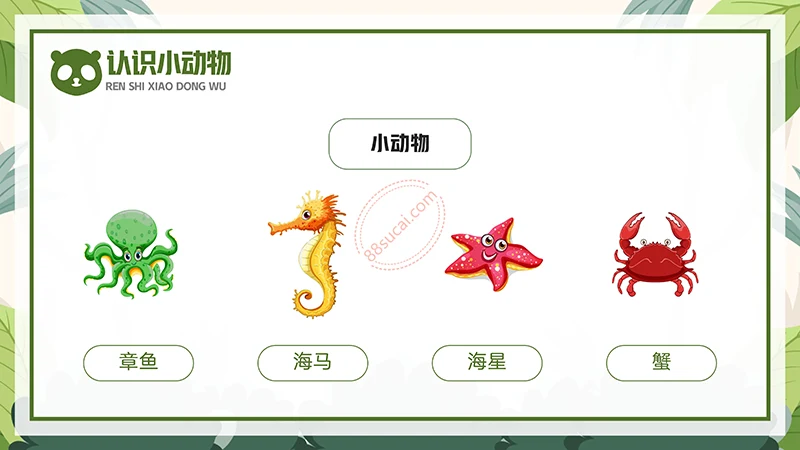 动物课程主题讲座《认识小动物》儿童动物介绍PPT免费下载免费PPT