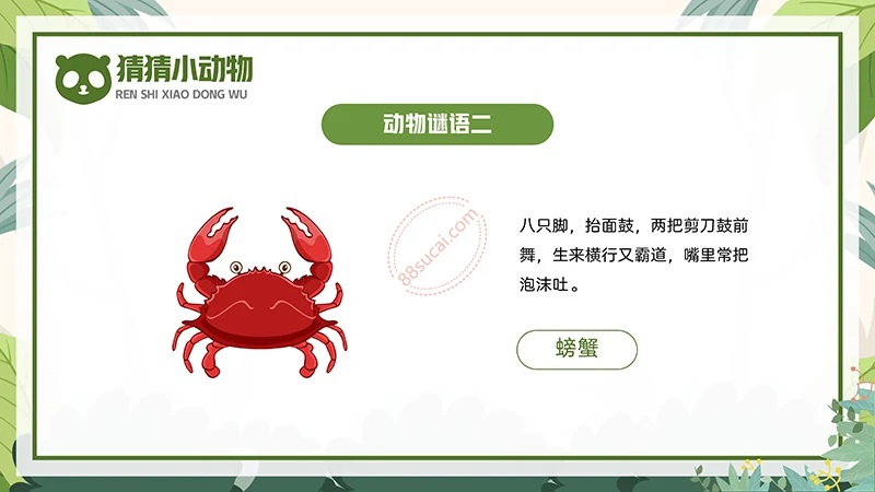 动物课程主题讲座《认识小动物》儿童动物介绍PPT免费下载免费PPT