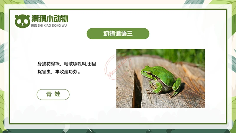 动物课程主题讲座《认识小动物》儿童动物介绍PPT免费下载免费PPT