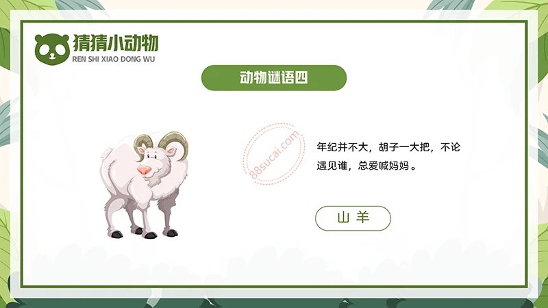 动物课程主题讲座《认识小动物》儿童动物介绍PPT免费下载免费PPT