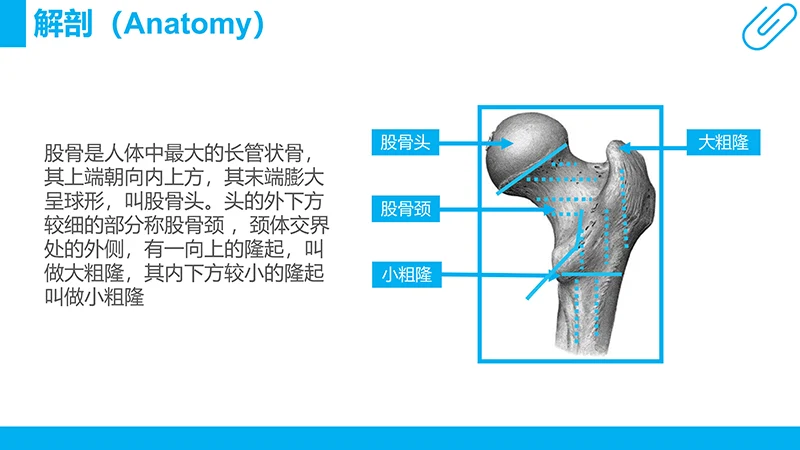 股骨颈骨折病例分析演示文稿免费下载免费PPT