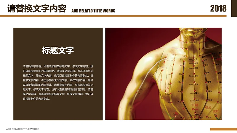 传统医学中医针灸ppt模板免费下载免费PPT