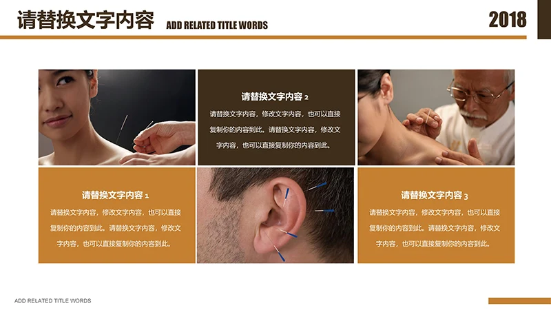 传统医学中医针灸ppt模板免费下载免费PPT