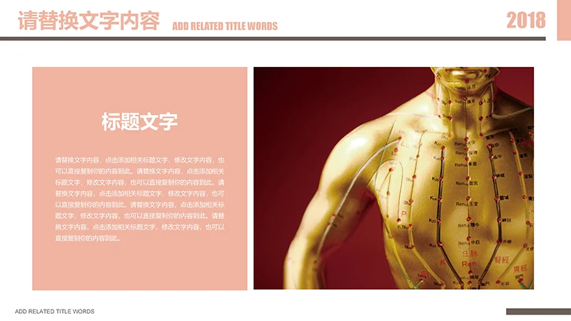 传统医学中医针灸ppt模板免费下载免费PPT