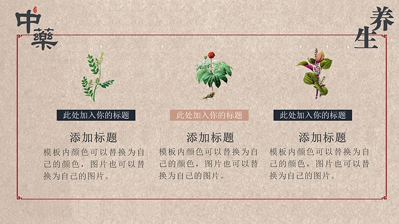 中药中医养生中国传统医药ppt模板免费下载免费PPT