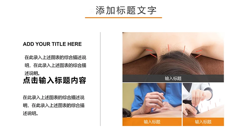 现代风中医针灸ppt模板免费下载免费PPT