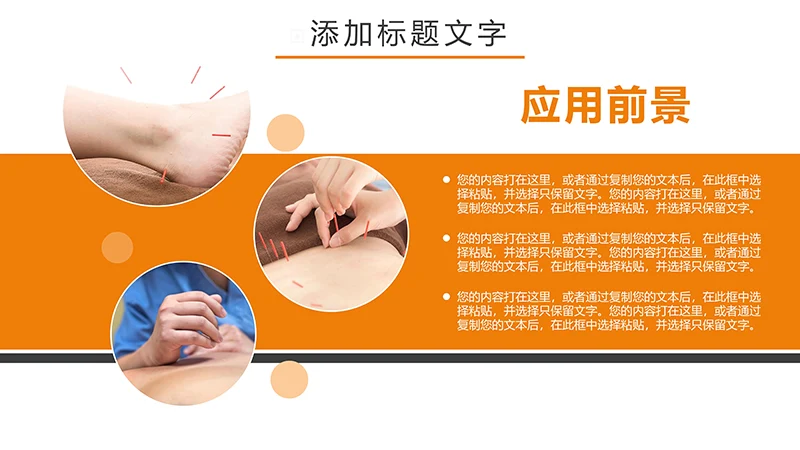 现代风中医针灸ppt模板免费下载免费PPT