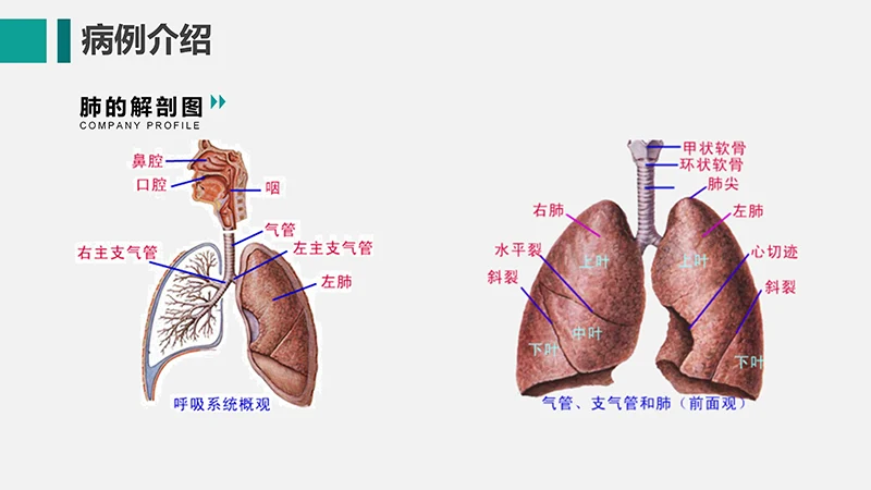呼吸衰竭的护理查房ppt演示文档免费下载免费PPT