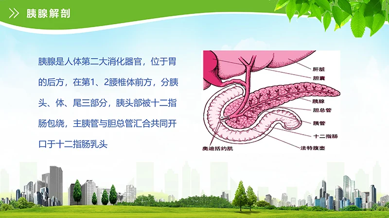 急性胰腺炎护理查房ppt演示文档免费下载免费PPT