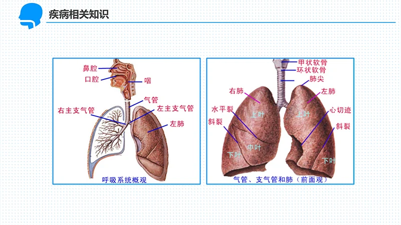 呼吸衰竭的护理查房ppt演示文档免费下载免费PPT