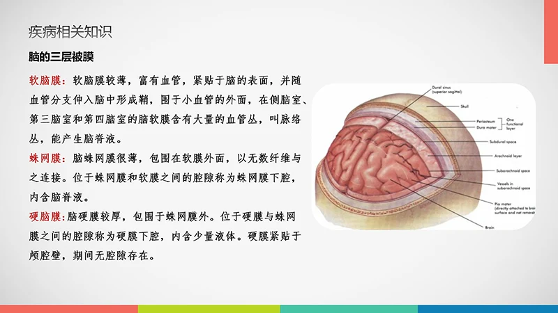 亚急性硬膜下血肿护理查房ppt演示文档免费下载免费PPT