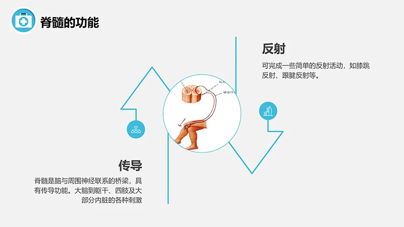 脊髓损伤的护理查房ppt演示文档免费下载免费PPT