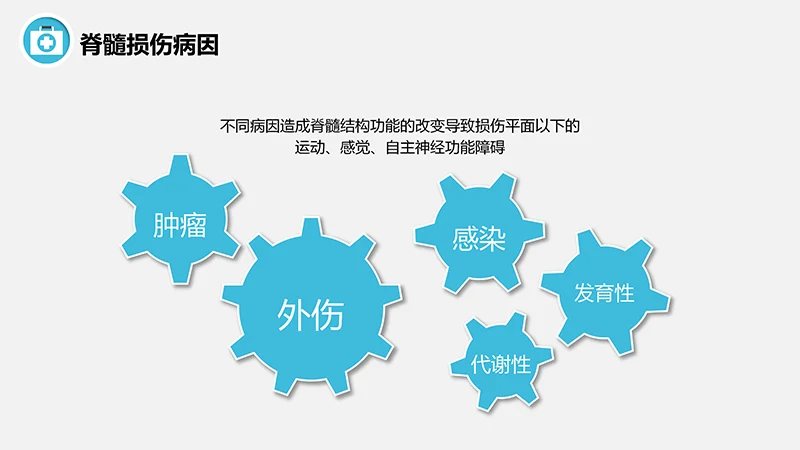 脊髓损伤的护理查房ppt演示文档免费下载免费PPT