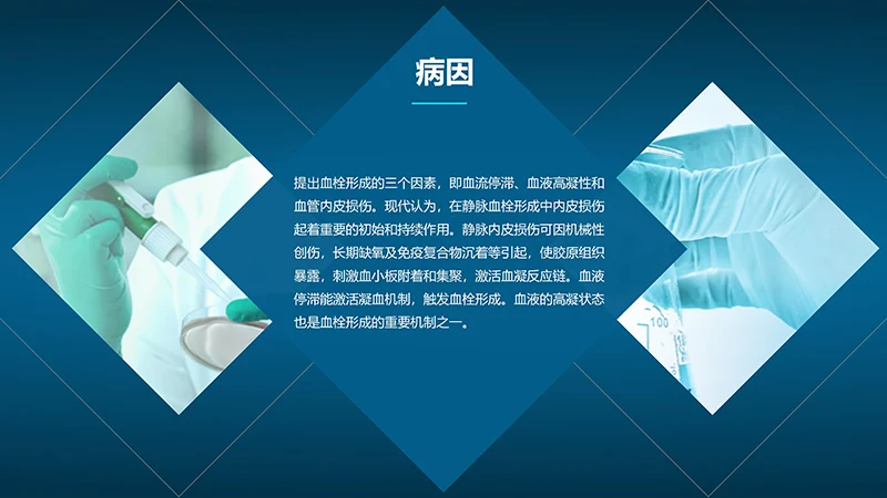 肺栓塞病人的护理心内科护理查房ppt演示文档免费下载免费PPT